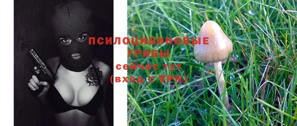 apvp Белоозёрский